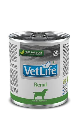 Farmina Vet Life Canine Renal 12x300g