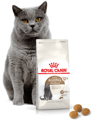 ROYAL CANIN Ageing Sterilised +12 2kg