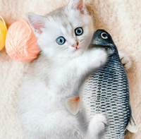 Kattenspeeltje pluche vis met kattenkruid 21cm
