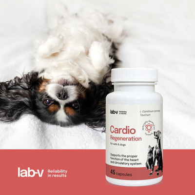 LAB-V Cardio Regeneration - Cardiovasculaire ondersteuning voor honden en katten 45 capsules