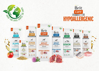 BRIT CARE Hypoallergeen Senior Lam 2x12kg 