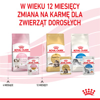 ROYAL CANIN Kitten Instinctive in Jell-O 12x85g