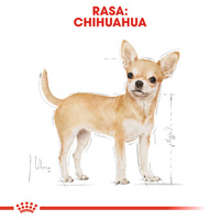 ROYAL CANIN Chihuahua Adult 12x85g 