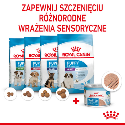 ROYAL CANIN Starter Mousse Mother & Babydog 195g