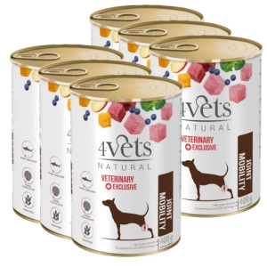 Dolina Noteci 4Vets Hond Gewricht Mobiliteit 6x400g