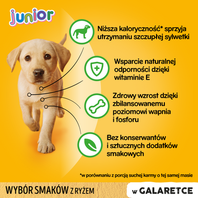 Pedigree Nat Puppyvoer (Kip & Rijst, Rundvlees & Rijst) 4x100g 