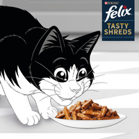 Felix Tasty Shreds Zalm & Tonijn Kattenvoer in Saus 4x80g