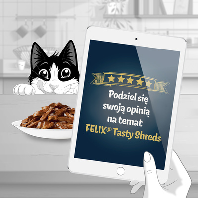 FELIX Smakelijke Snippers Voedsel voor Volwassen Katten land smaken in saus 4x80g