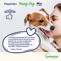 VETOQUINOL Flexadin Jonge Hond Mini 60 pods