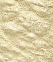 Versele-Laga NutriBird A19 Kuiken Handvoeding 3kg