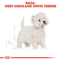 ROYAL CANIN West Highland White Terrier Adult 3kg