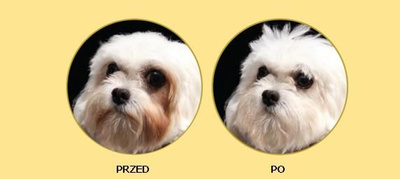 Nature’s Protection Superior Care White Dogs Adult Small Breeds With Lamb 10kg