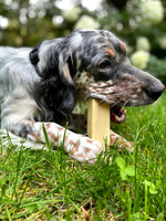 ZOLUX Natuurlijke hondensnack Himalaya kaas S 38 g