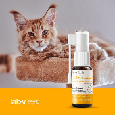 Lab-v ADE Complex - Vitamine A, D en E complex in sprayvorm voor honden en katten 2 x 10ml