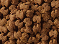 Eukanuba Adult Golden Retriever 2x12kg