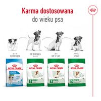 ROYAL CANIN Mini Adult 8+ 2kg 