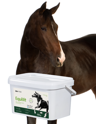 Lab-v EquiVit - dieetvoer voor paarden, ondersteunt immuniteit en gewrichten 2kg 