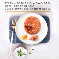 Purina Gourmet Gold Kattenvoer Hartige Taart 48 x 85 g