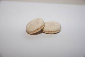 Bosch Sandwich Burger 10kg