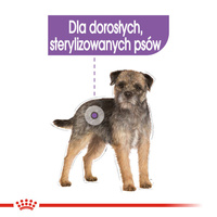 ROYAL CANIN CCN Sterilised Mini pate 12x85g