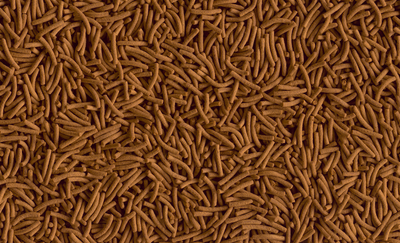 Tetra Cichlide XL Sticks 500ml 