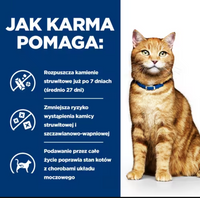 Hill's Prescription Diet c/d Multicare Feline Zalm 85g