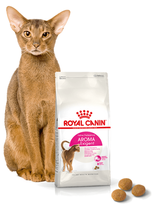 ROYAL CANIN Aroma Exigent 400g