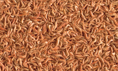 Tetra Reptodelica Garnalen 1l