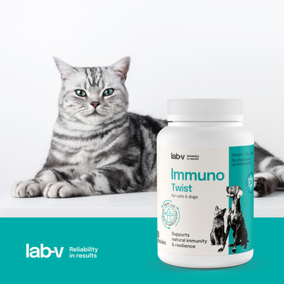 Lab-v Immuno Twist - natuurlijke ondersteuning van immuniteit en vitaliteit voor honden en katten 60 afneembare capsules