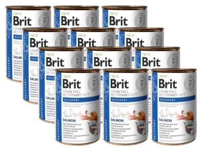 Brit Grain Free Veterinary Diet Hond/Kat Herstel Zalm 12x400g