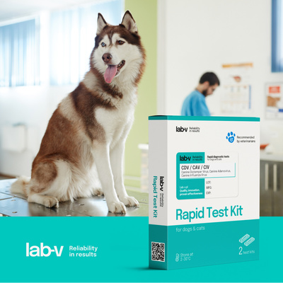 Lab-V CDV &amp; CAV &amp; CIV antigeen - Sneldiagnosetest voor honden 2 st.