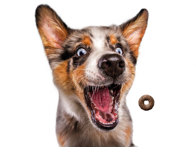 Josera Loopies Lam 150g