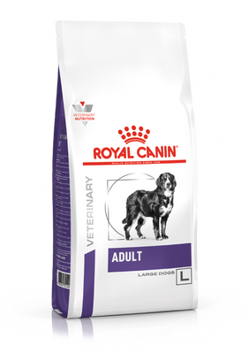ROYAL CANIN Adult Large Dog 13kg + verrassing