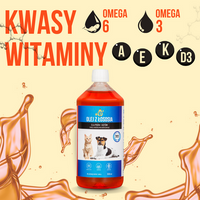 Lab-V 100% Zalmolie voor honden en katten van alle leeftijden 1000 ml Koudgeperst