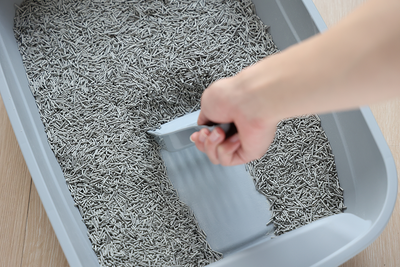 SNAPPY kattenbakvulling TOFU biologisch afbreekbaar met actieve kool 2.5kg