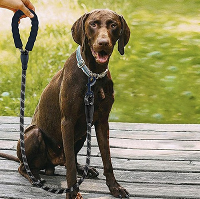 PURLOV-Lijnkoord voor grote hond, dik reflecterend touw 5 m