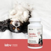LAB-V Cardio Regeneration - Cardiovasculaire ondersteuning voor honden en katten 45 capsules