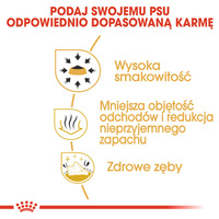 ROYAL CANIN Chihuahua Adult 500g