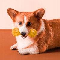 Kauwbot met pieper 16cm