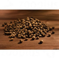 HappyDog Mini Volwassen 4kg