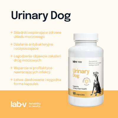 LAB-V Urinary Dog - Ondersteuning bij urineweginfecties bij honden 90 capsules