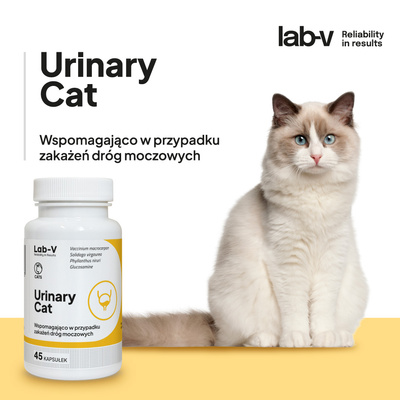 Lab-v Urinary Cat - Urinewegondersteuning voor katten 45 capsules