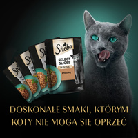  SHEBA Selection Select Slices Kippenreepjes zakjes  40x85g 