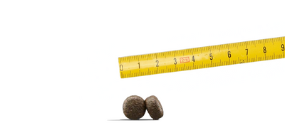 JOSERA Adult Licht & Vitaal 2x12,5kg