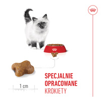 ROYAL CANIN Kitten 10kg