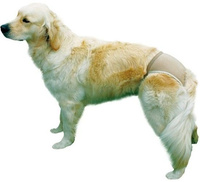 Trixie Beschermende Slipjes voor Teven Maat XL