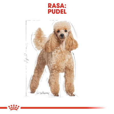 ROYAL CANIN Poedel Adult 1.5kg