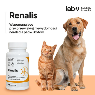 LAB-V Renalis- Ondersteuning bij chronisch nierfalen voor honden en katten 45 capsulesj