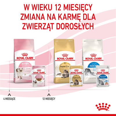 ROYAL CANIN Kitten Instinctive in Saus 12x85g