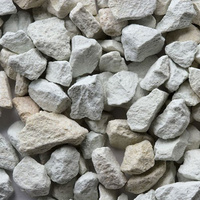 AQUAEL ZeoMax Plus 1l (chemisch)